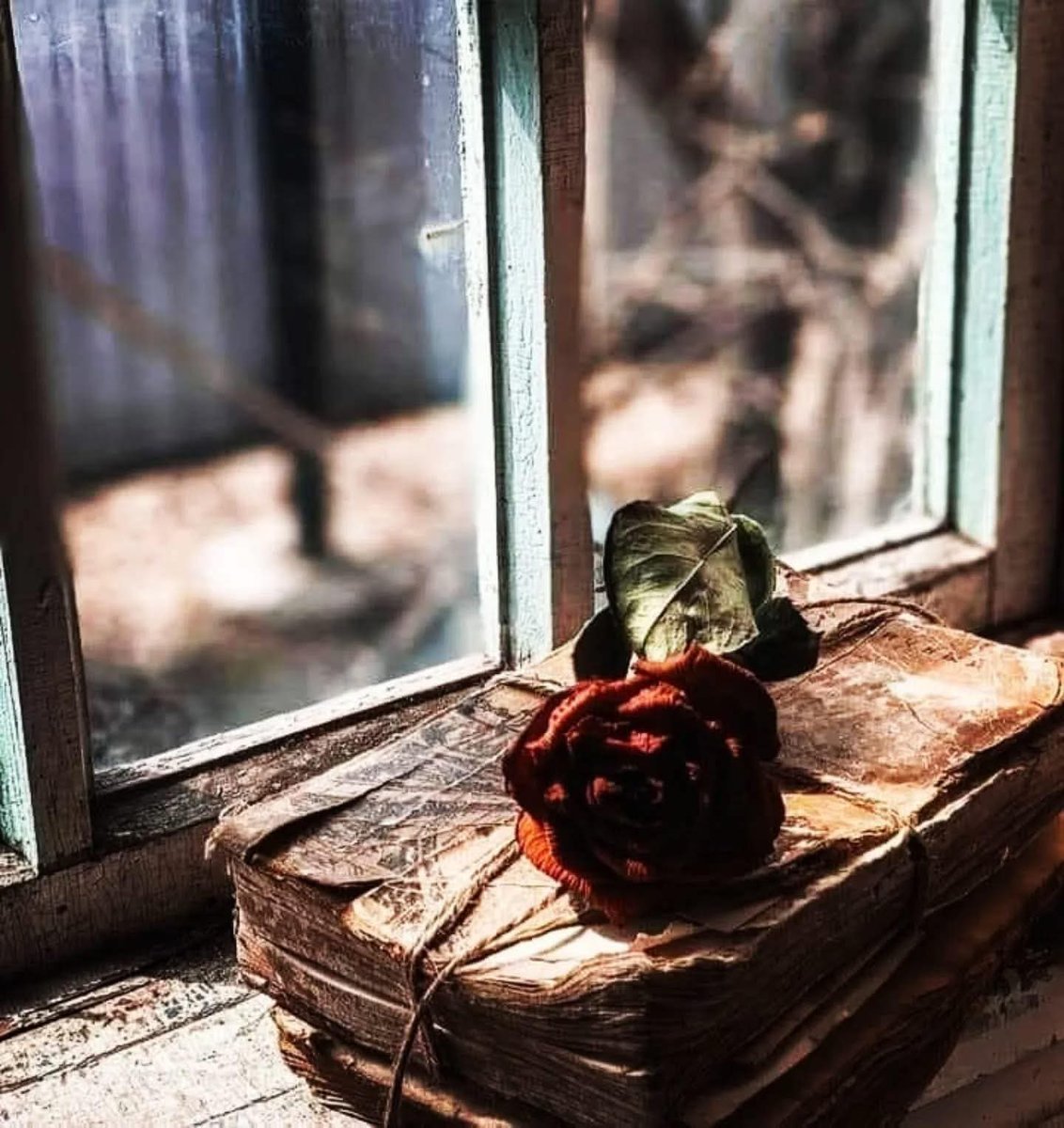 Bir gönüle bir "Gül" düşmüşse,
Sebebini arama "Hak'tandır".

Sen, kıymet bilmez "kurutursan"
Sebebini kendinde ara!..🌸🍂

Keyifli aksamlar