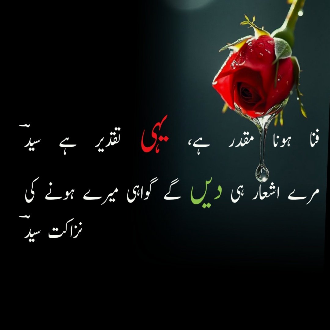 🥀Nazakat💞Syed⚘🇵🇰✌ tweet media