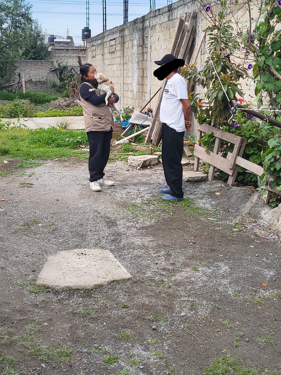 SanMateoAGob's tweet photo. Canino #Atendido 🐶 | En atención a un reporte ciudadano por supuesto #MaltratoAnimal, la Unidad Municipal de Control y Bienestar Animal acudió al domicilio para la revisión médica del perrito, encontrando que éste se encontraba en buena condición corporal, sin embargo, (1/2) https://t.co/XMKojour7r