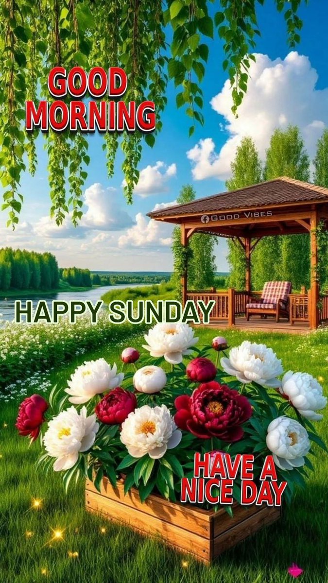Happy Sunday 🤍