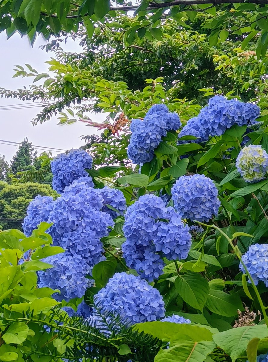 marunashi（無言取引) 904545お急ぎ marunashi（無言取引) 904545お