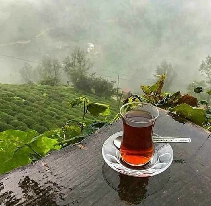 bi zamanlar DEMli çay içemiyorduk suç olur diye, 
DEMli bi çay içeyim
günün anısına, suç olmaktan çıktı sonuçta…