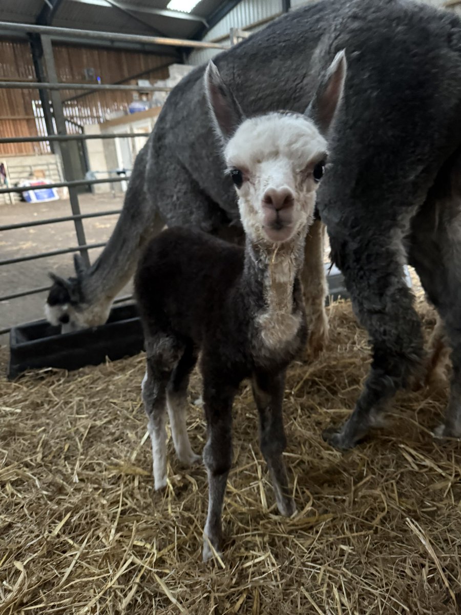 🎉 Electra has broke the 6kg barrier tonight.