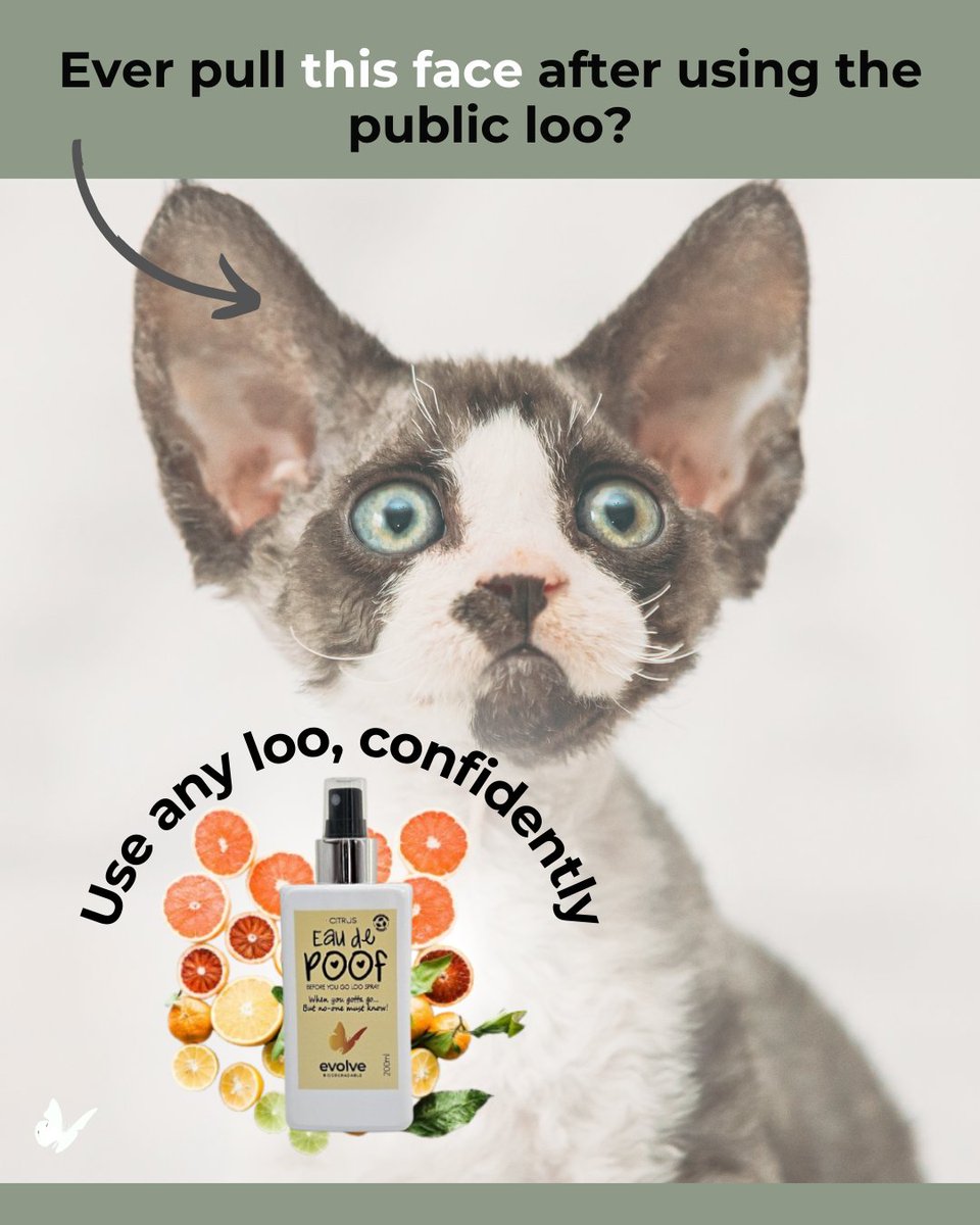 No need to panic post-poop 💨 Eau De Poof has your back (and your air). Natural, non-toxic, no stress. #BathroomBliss #EcoFresh

evolvebiodegradable.co.za