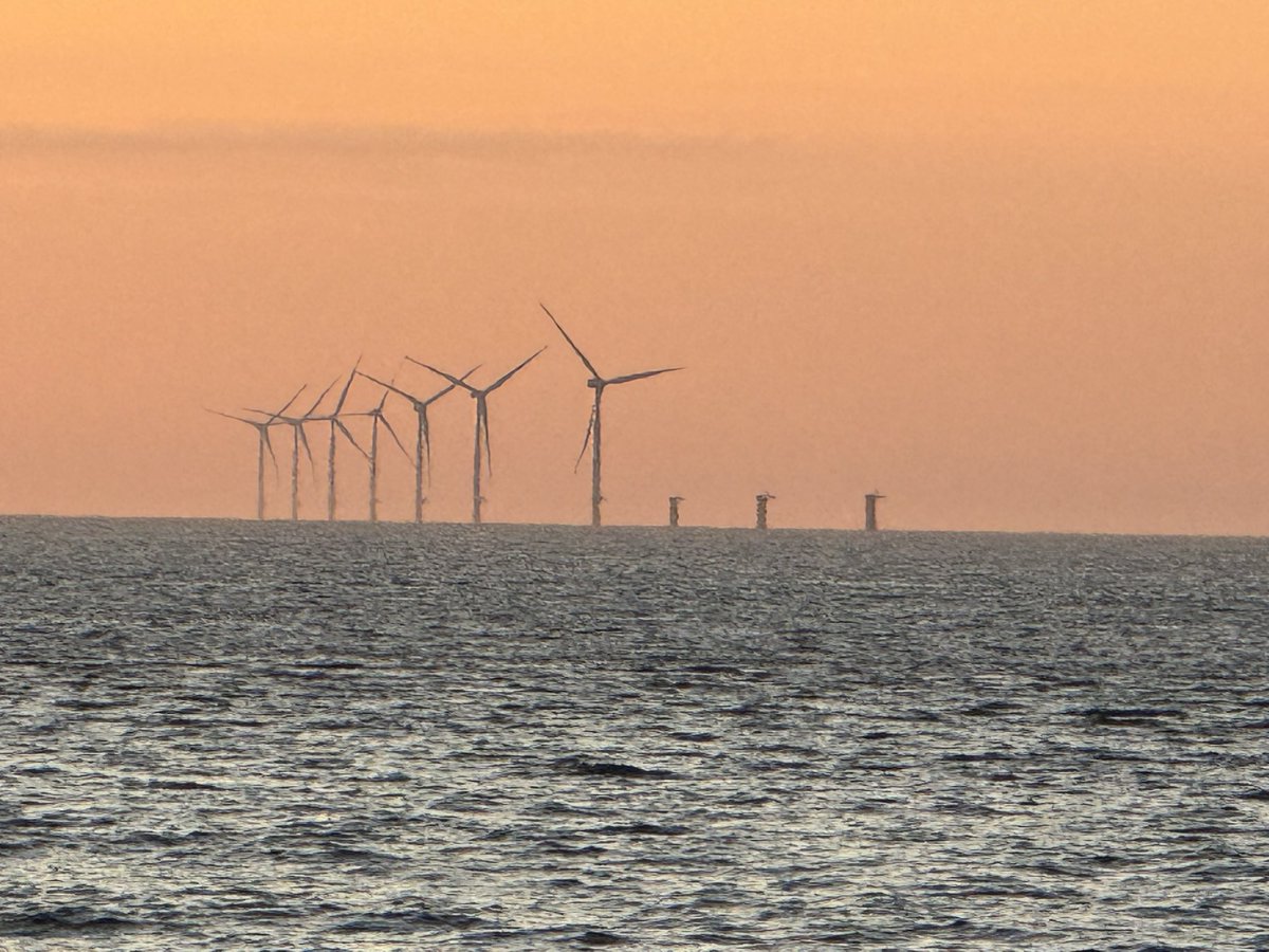 Défiguration en cours entre Yeu et Noirmoutier 🤮