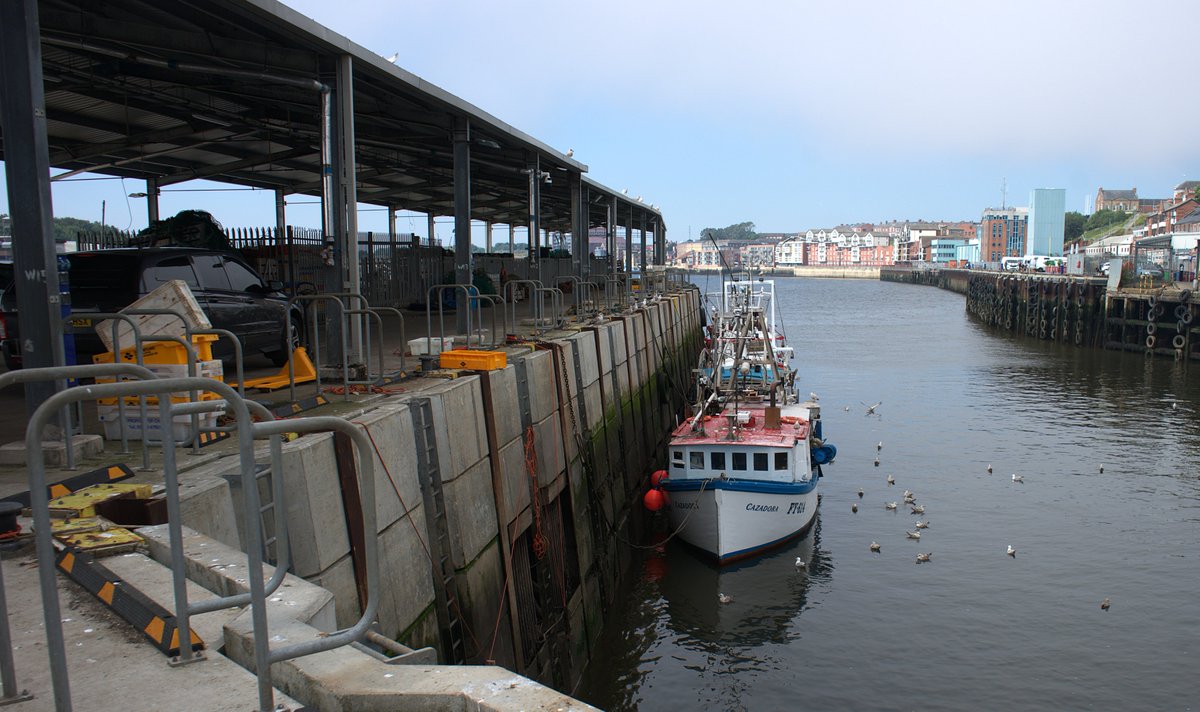 jac61941964's tweet image. North Shields Fish Quay.
#Fishing
#boats
#NorthShields
#tynemouth