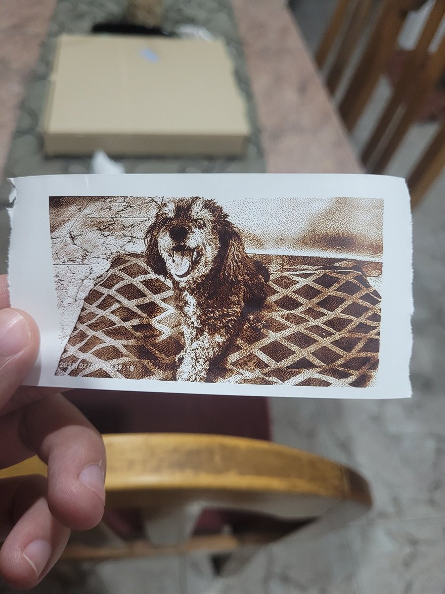 mi sobrina se compró una camarita con impresora termica y sin exagerar es la mejor compra de la historia