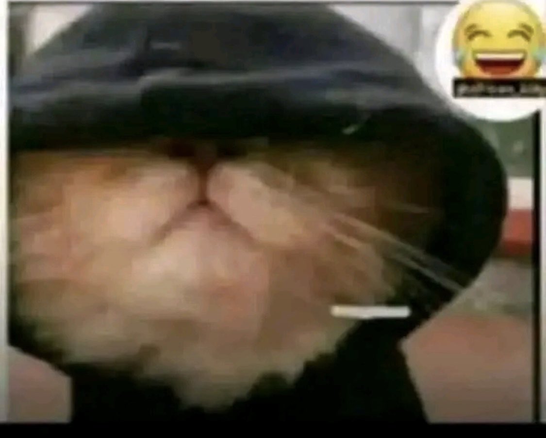 Me:How much is chips
Seller: 3k
Me:What about salads?
Seller: They are given for free
Me: Get me three plates of salad pliz😅😅🤝🤝😅