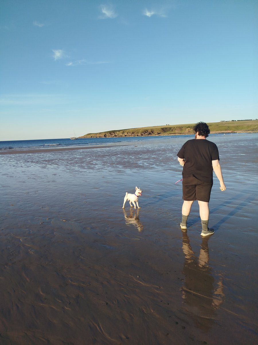 Wee jaunt to Sanine to let Sammy cool off in the sea. Nice bit of real estate from some of the earlier visitors!