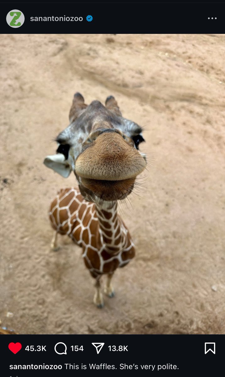 pantstent's tweet photo. This is how i look at tall women. #climbthattree https://t.co/VdR8ZGVn60