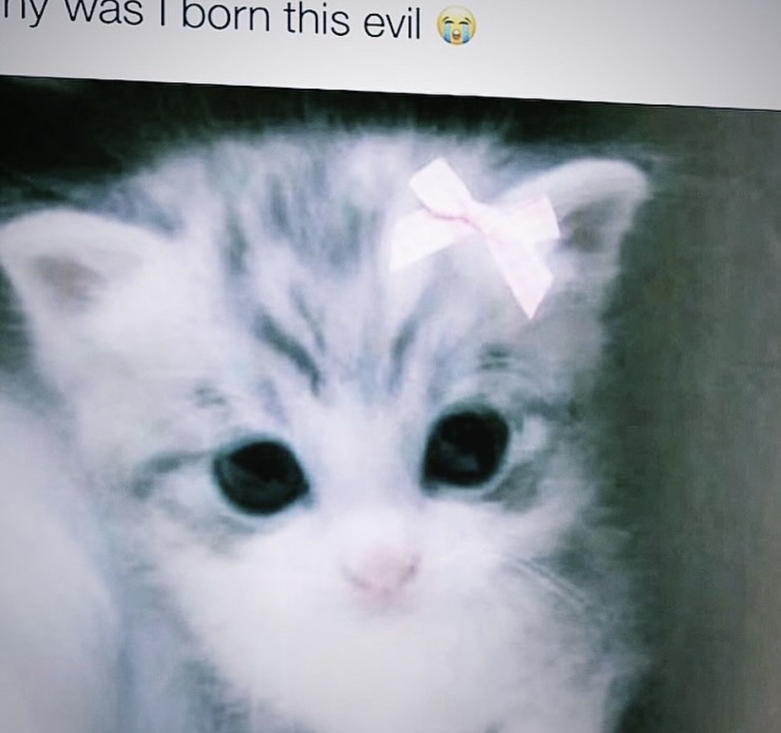 CHlMERIC's tweet image. why did this website censor my post