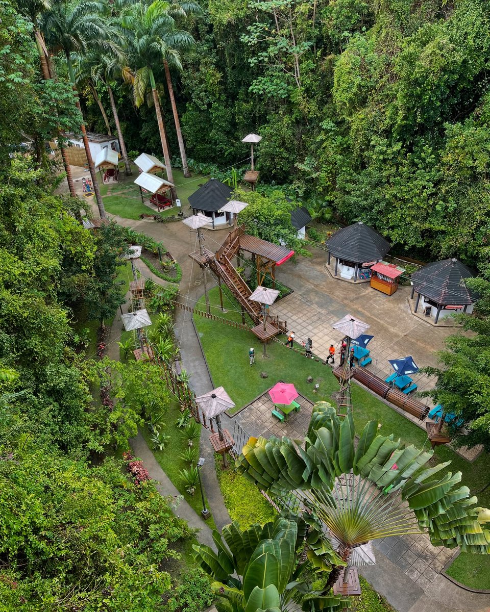From cave tours to zipline thrills, Harrison’s Cave Eco Adventure Park is the ultimate blend of nature and excitement 🌴🇧🇧 
Adventure level: unlocked.✔️

📸: <a href="/natatoue/">NATALIE</a>, thanks for sharing!

#VisitBarbados #LoveBarbados #MyBarbados