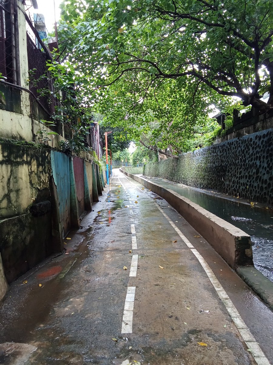 Spot Cruiser tweet media