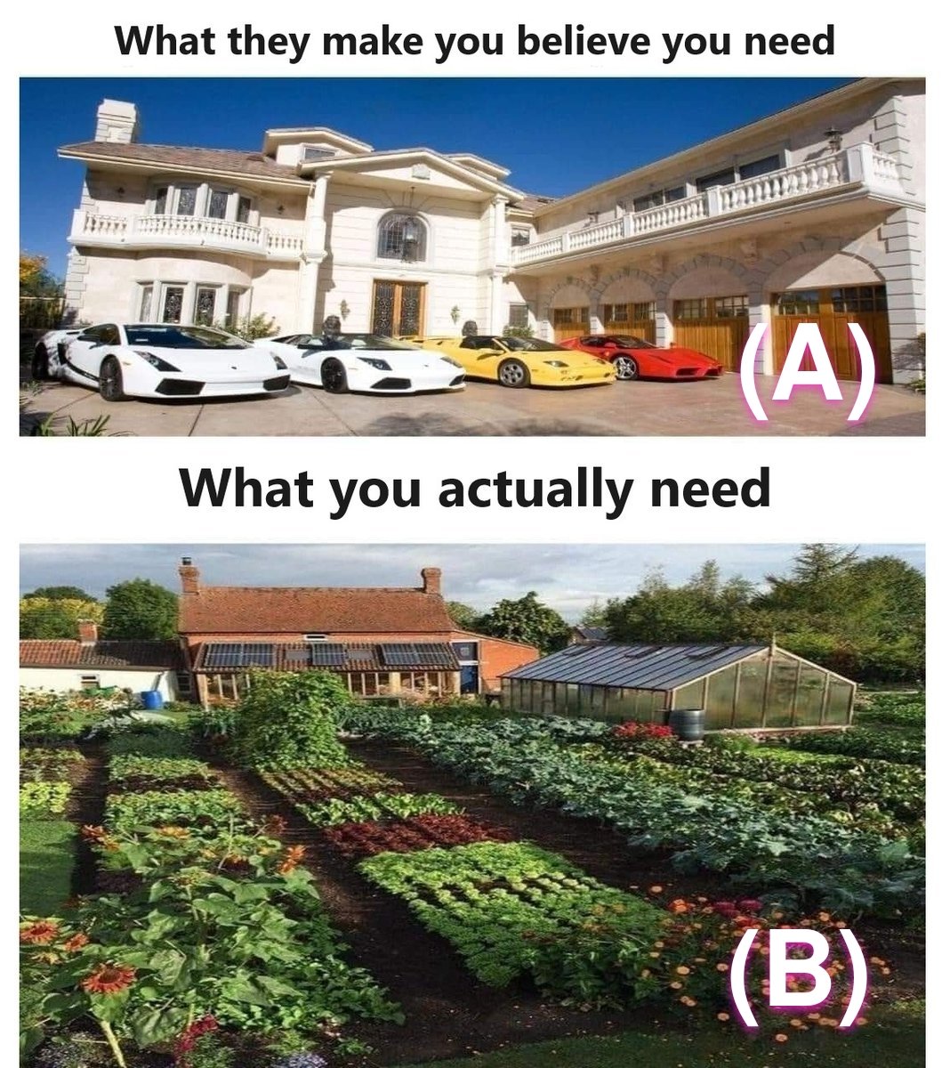 Zoom Afrika tweet media