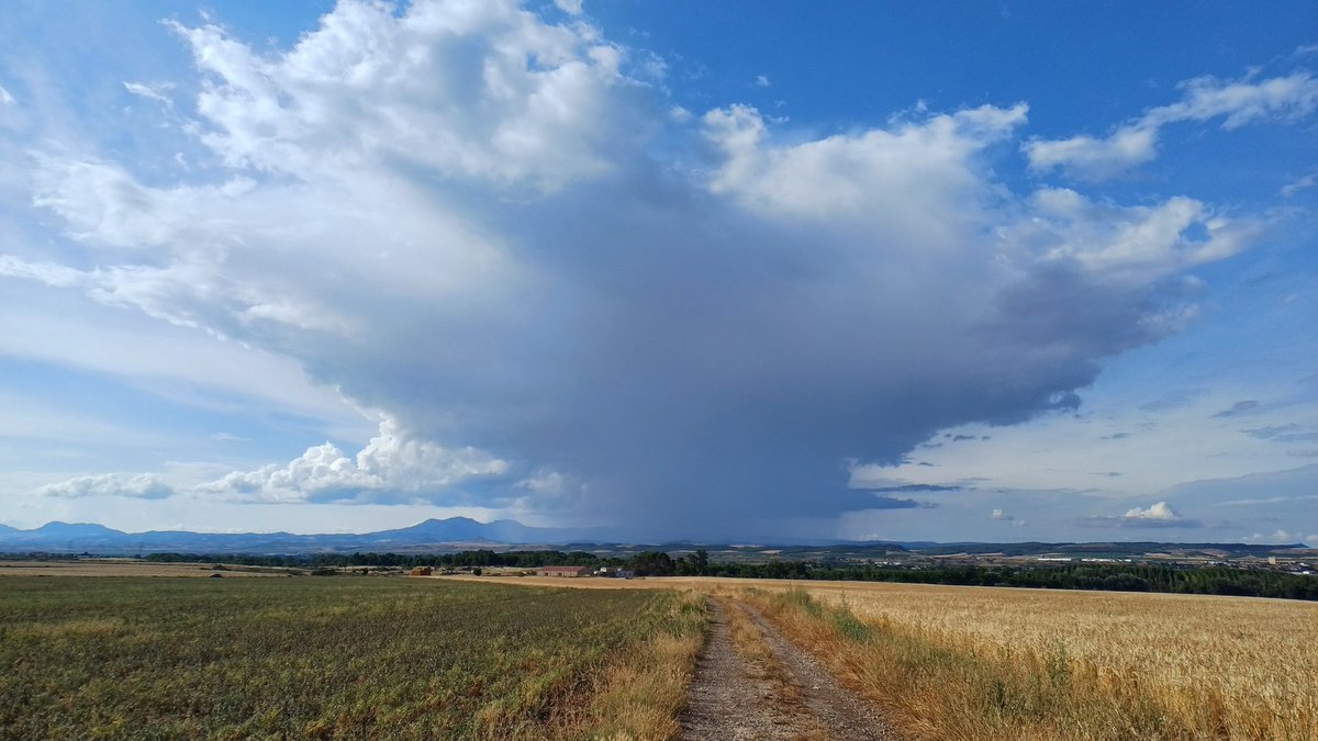 Ha tenido que caer una buena, esta tarde, en torno al monte Yoar (Navarra).