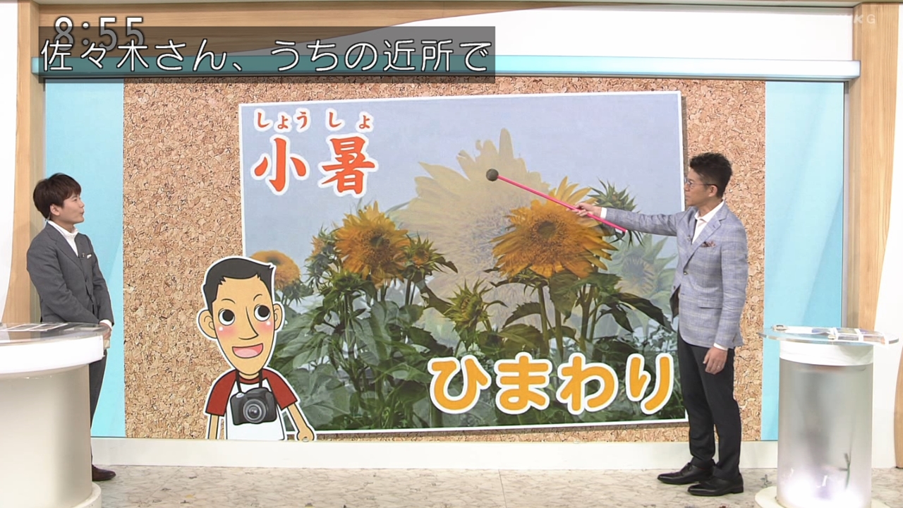 ひまわり◯プロフの一読お願いします 1bn7.jpg