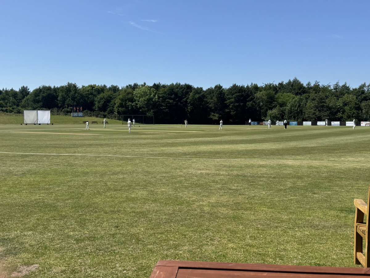 Michael Davison tweet media