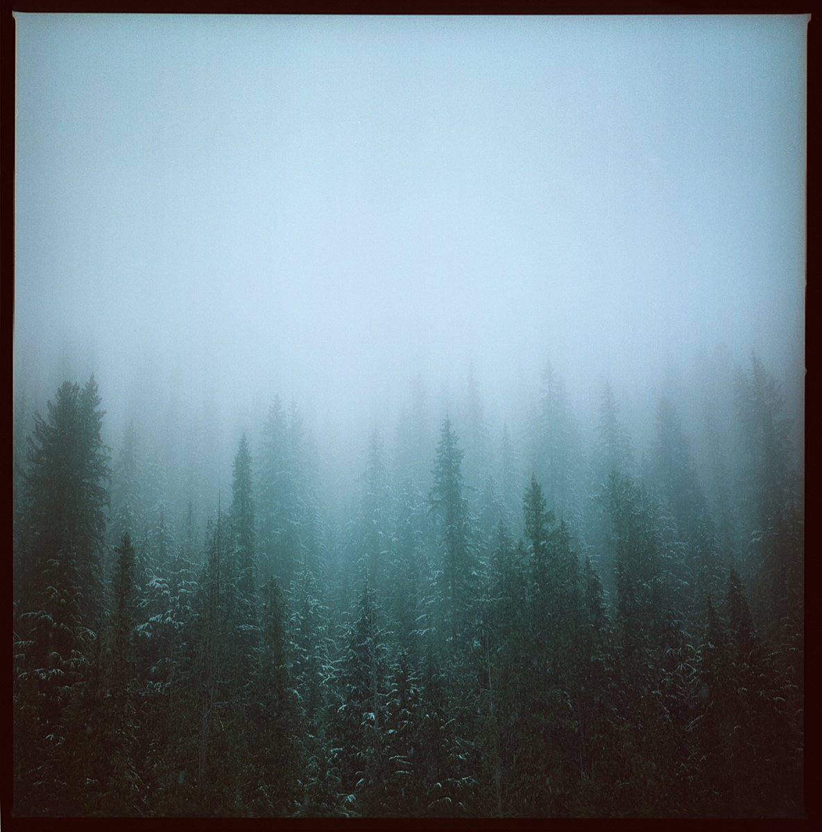 Atmospherics tweet media