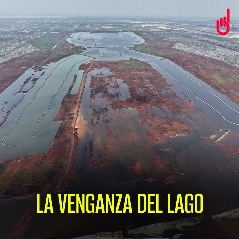 ☝️La terminal en forma de “X” y otras zonas de lo que sería el Nuevo Aeropuerto Internacional de Texcoco está parcialmente cubierta después de días de lluvias intensas. Abrimos 🧵(1/6)