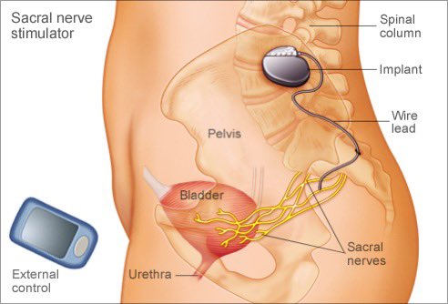 Urology for Students tweet media