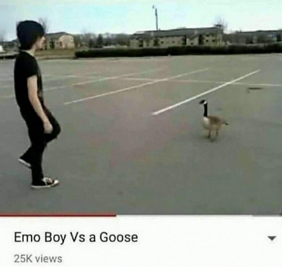 This pic give me the vibe of
Bettel2 vs Gavis Bettel🪿
#BettelCallLol