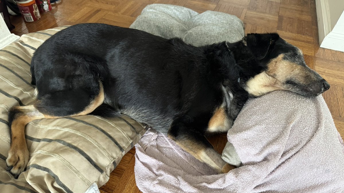 Si malade mais si courageuse… 🥺💔