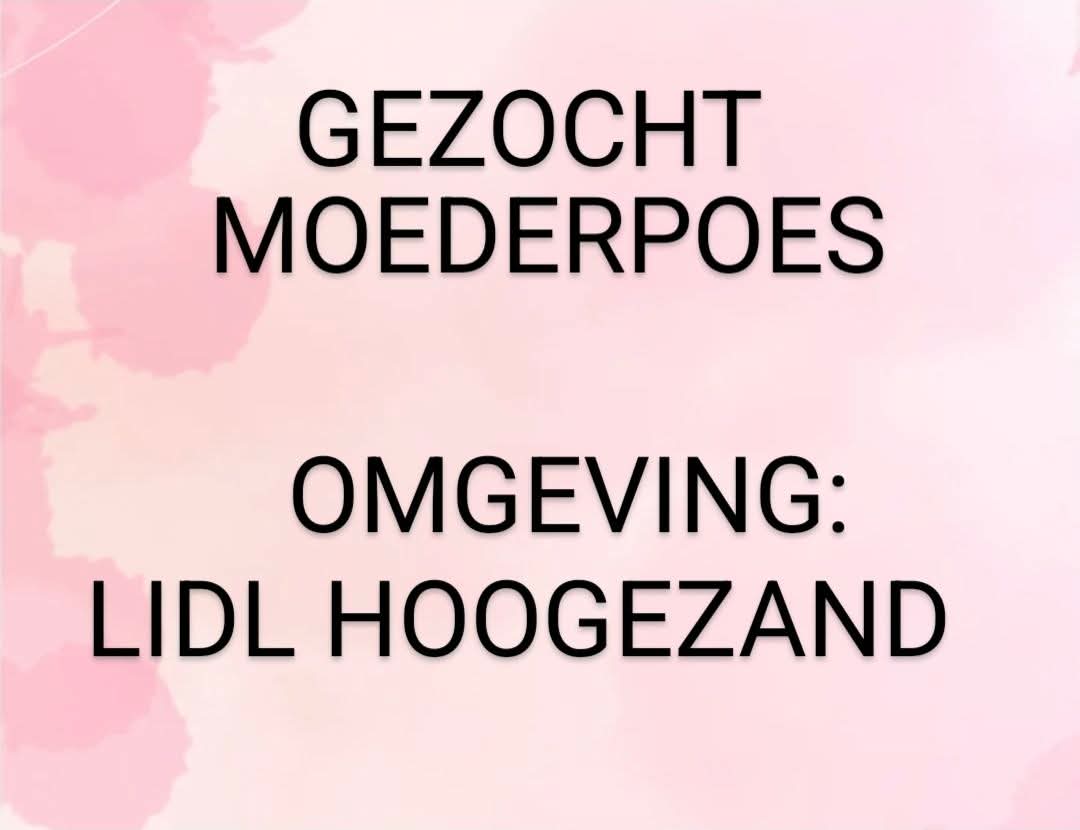 Gezocht moederpoes #Hoogezand #Lidl 
Lees het verhaal en telefoonnummer hier : 
facebook.com/share/p/1AssiH…