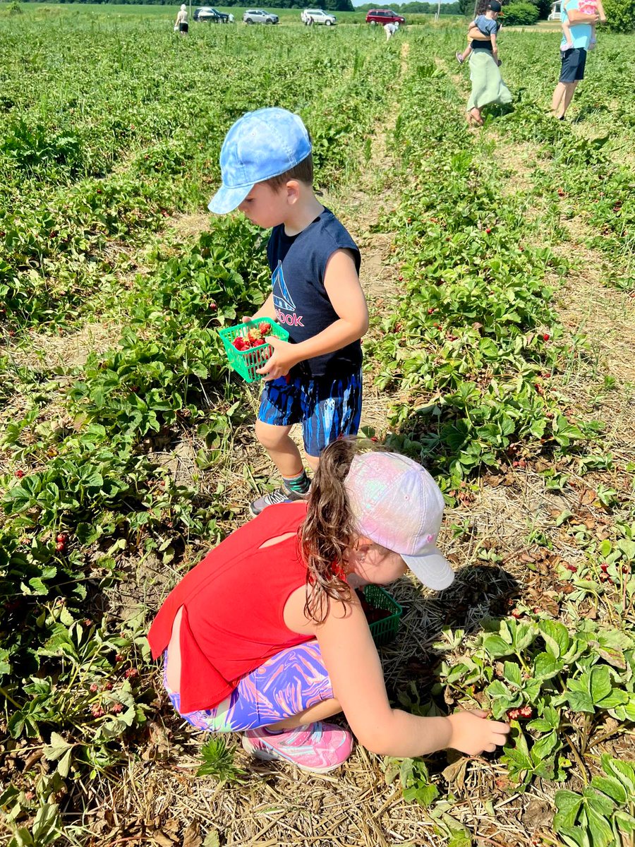 Brian Johns 🎈🇨🇦 tweet media