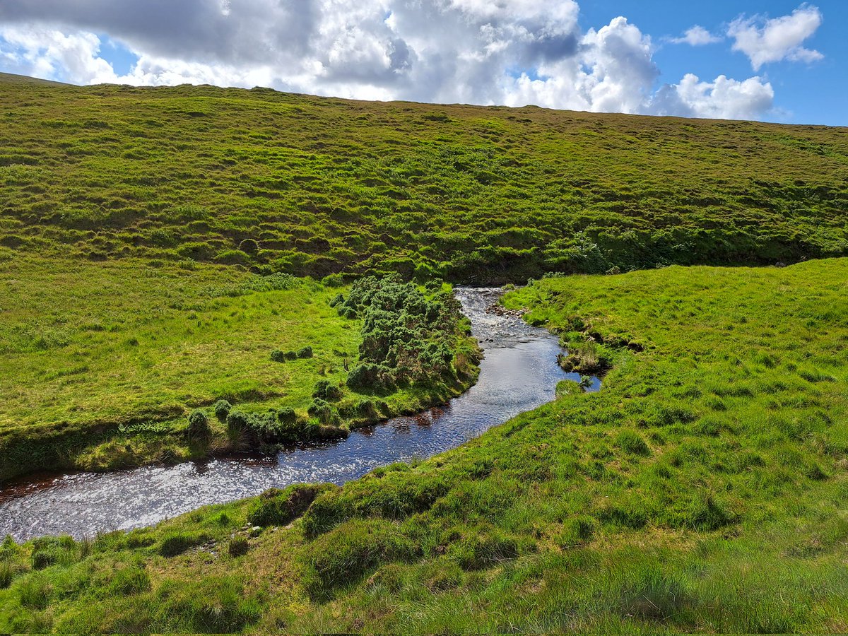Hike the 26km Bangor Trail with me Saturday week, the 26th.
Book this 10-12hr bog odyssey at barrysguidedtours.com/the-bangor-tra…
