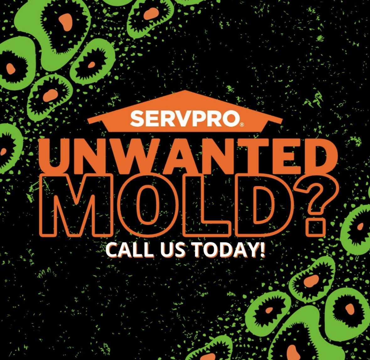 Got mold? Call (949) 474-7776 #ServproIrvine
