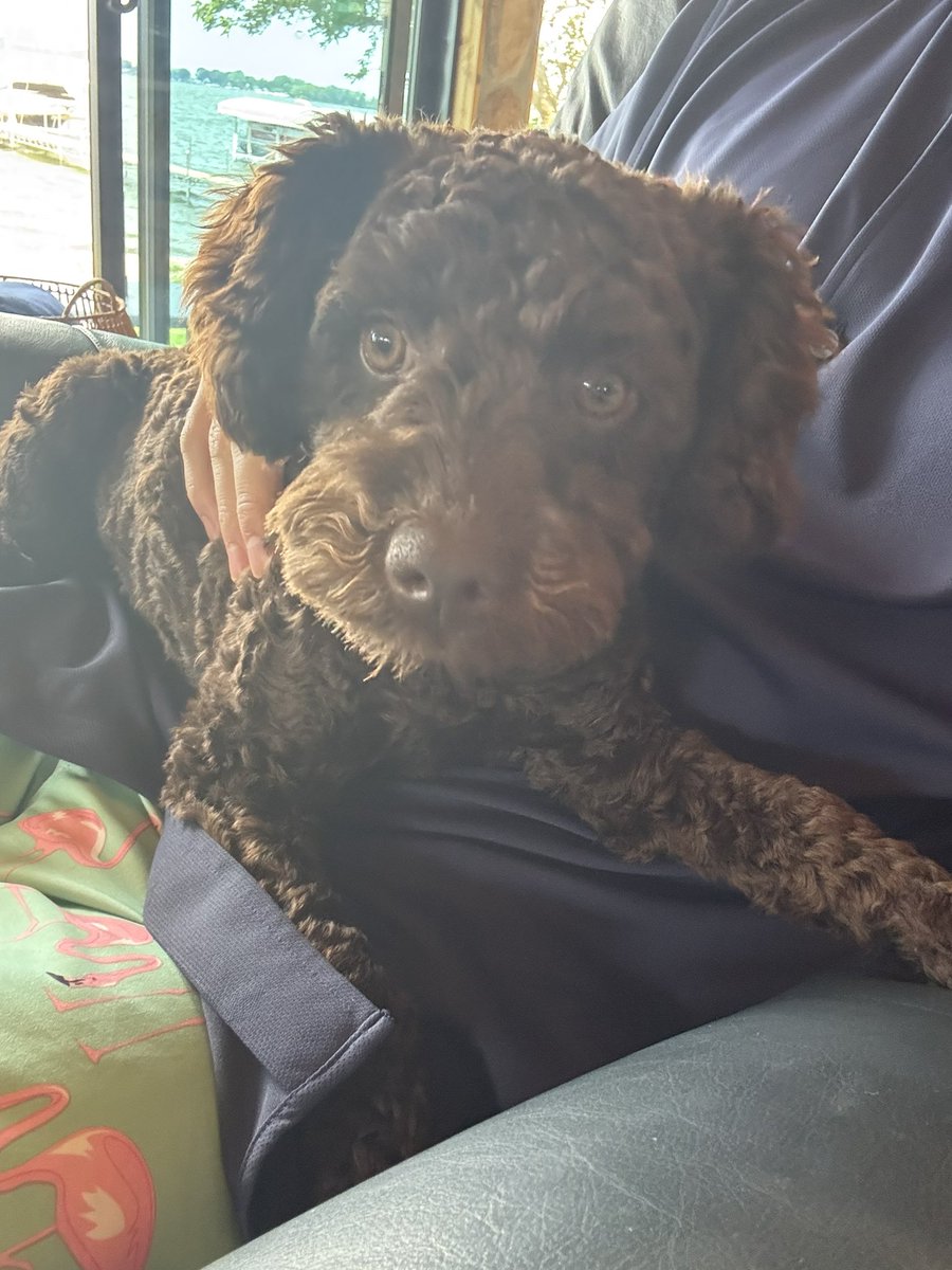 Ketamine Hawk tweet media