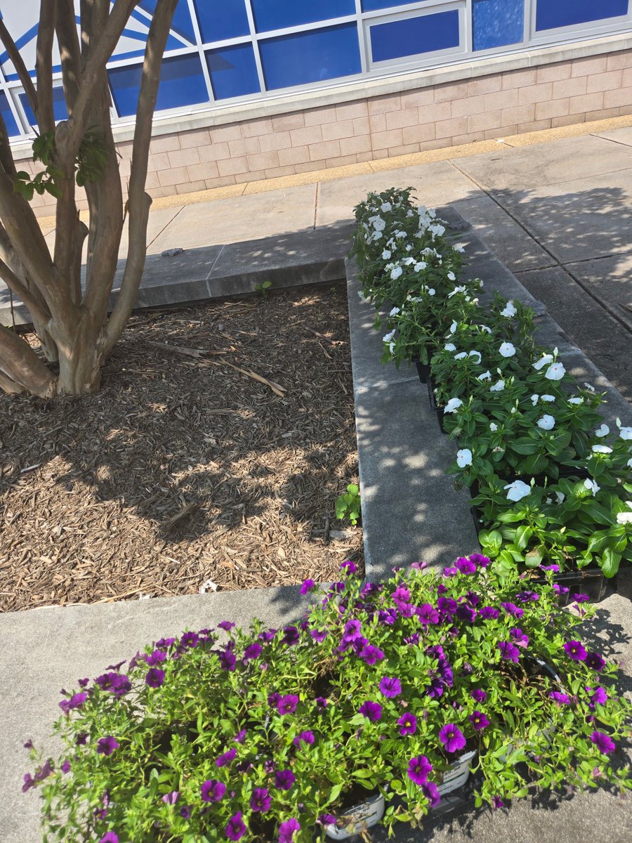 Great Things in bloom at FHS!