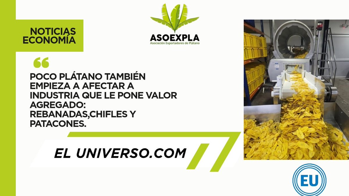 asoexpla's tweet image. Nuestro director ejecutivo, Eduardo Manrique, habló con @eluniversocom sobre la desaceleración en la oferta de plátano 

🔗 Lee la entrevista completa:eluniverso.com/noticias/econo…
#Asoexpla #Plátano #Exportación #Ecuador #SectorAgro