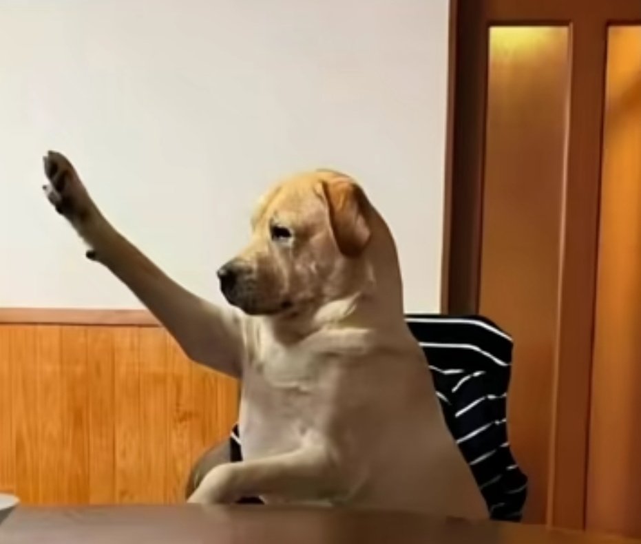 Elon Mask should add a feature on X that notifies when someone unfollows you, I lost 500 followers in one night😁