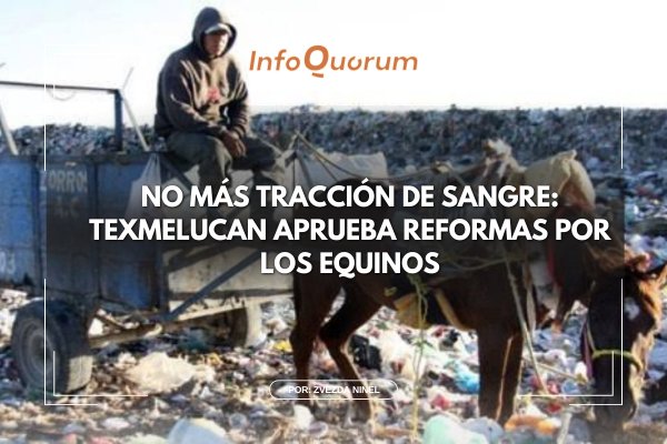 🌟 ¡Histórico avance en San Martín #Texmelucan! 🌟

El Cabildo aprobó una reforma sin precedentes que prohíbe el uso de caballos, mulas y burritos en carretas de basura, marcando una victoria histórica no sólo para los animales, sino también una oportunidad real de dignificar el