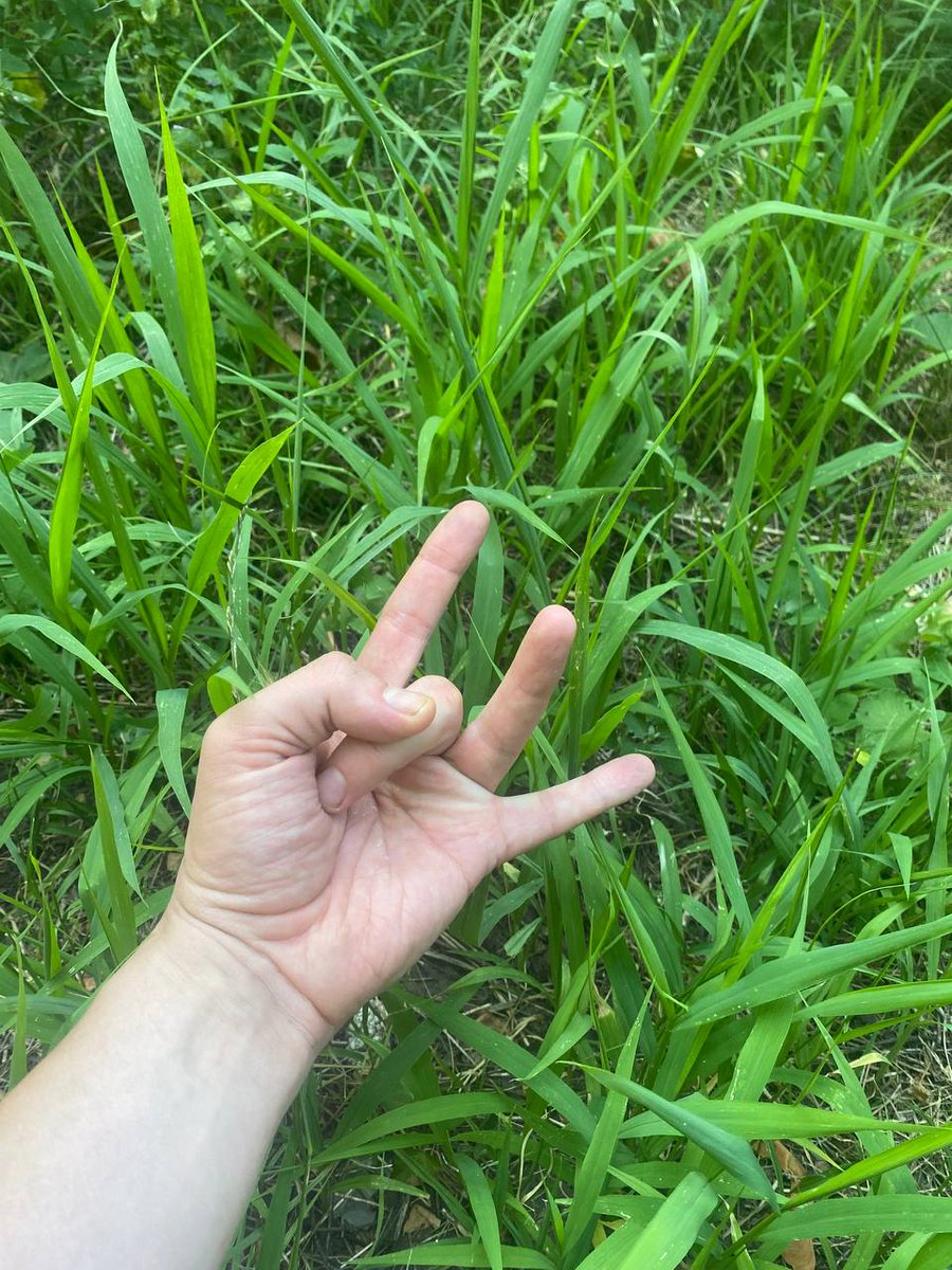 aidxter's tweet photo. #openseatouchgrass https://t.co/U8sxkpdc4m