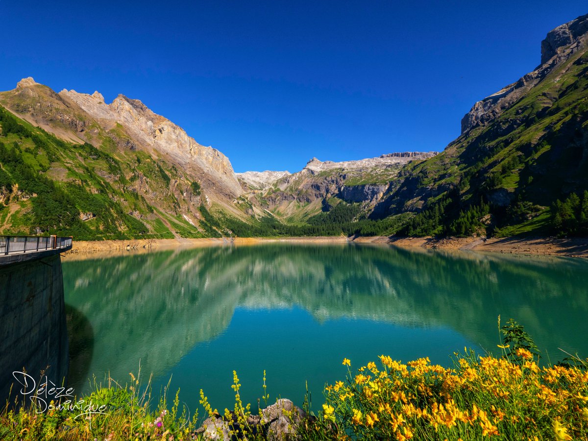 DelezeD's tweet image. Blotti au creux de la région du Rawyl, à 1774 m d’altitude, splendide Lac de Tseuzier 💙💚🇨🇭

#suisse #switzerland @valaiswallis @Anzere365 @MySwitzerland_e