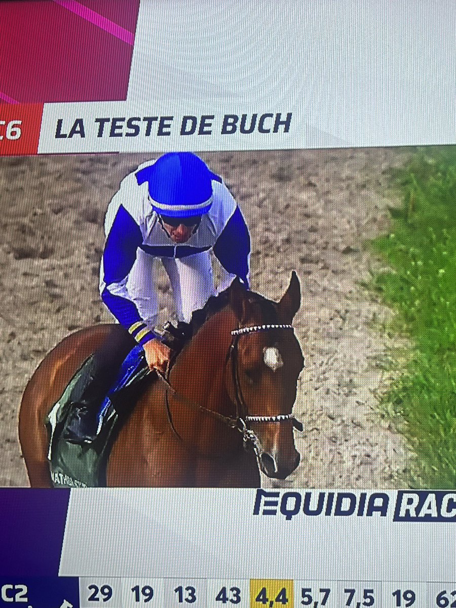 French Horse Racing Tips tweet media