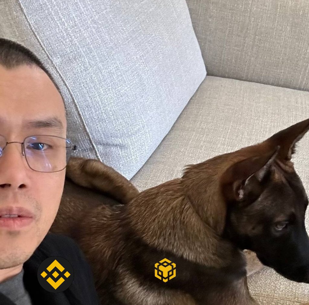 比特币演员🥦 tweet media