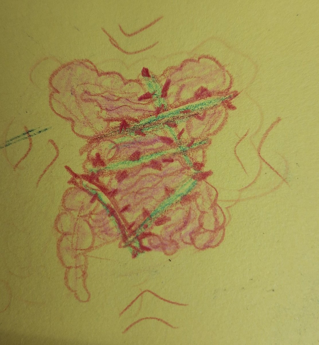 DoodleDuncan's tweet photo. My fellow IBS havers understand, right? It really does feel like thorny vines are crushing my guts today. 😔 #doodle #drawing #ibs #intestines https://t.co/WHuJCqVKa5