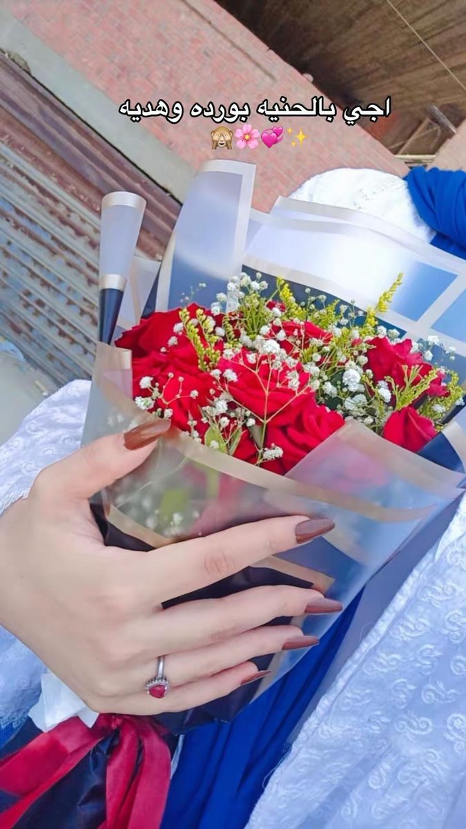 💞💞💞💞💞🌸