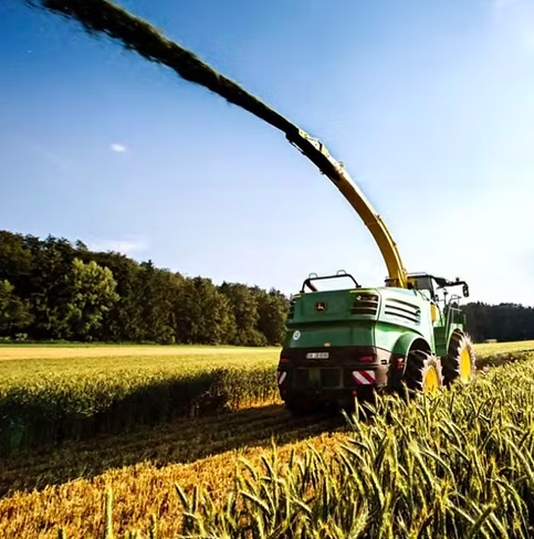 seednetca's tweet image. Fire up your livestock yields with KWS Propower Hybrid Fall Rye!
• Excellent quality silage, forage & feed
• Performs well on irrigation and dryland
• Great winter survival
• Low ergot risk
Find a seed dealer by visiting seednet.ca/kws-propower-1