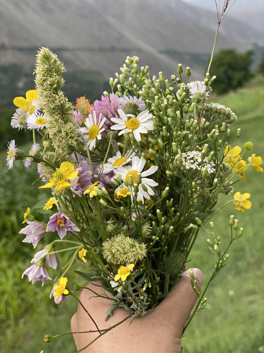 تیرے نصیب میں اے دل ! سدا کی محرومی
نہ وہ سخی، نہ تجھے مانگنے کی عادت ہے