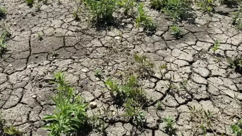 Recent rainfall a drop in the bucket for southwest Saskatchewan farmers dlvr.it/TLtS9H