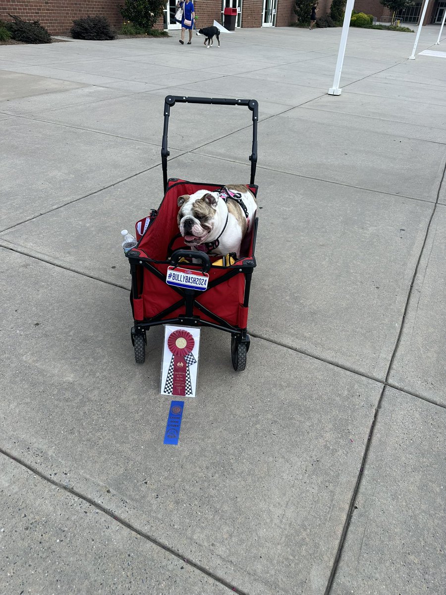mikepoll77's tweet image. Miley got her CANINE GOOD CITIZEN AWARD AND HER TRICK AWARD!!