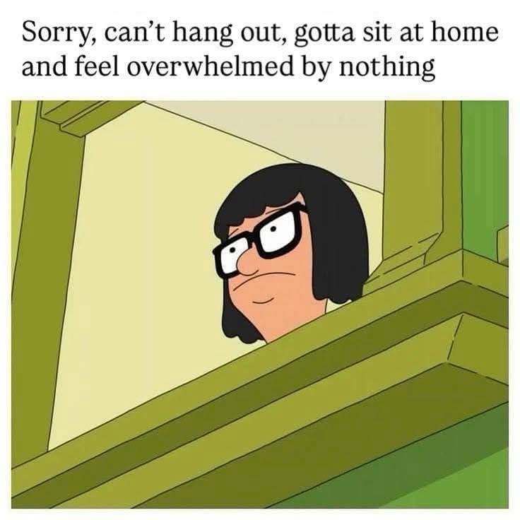 NoNonsenseND's tweet image. 