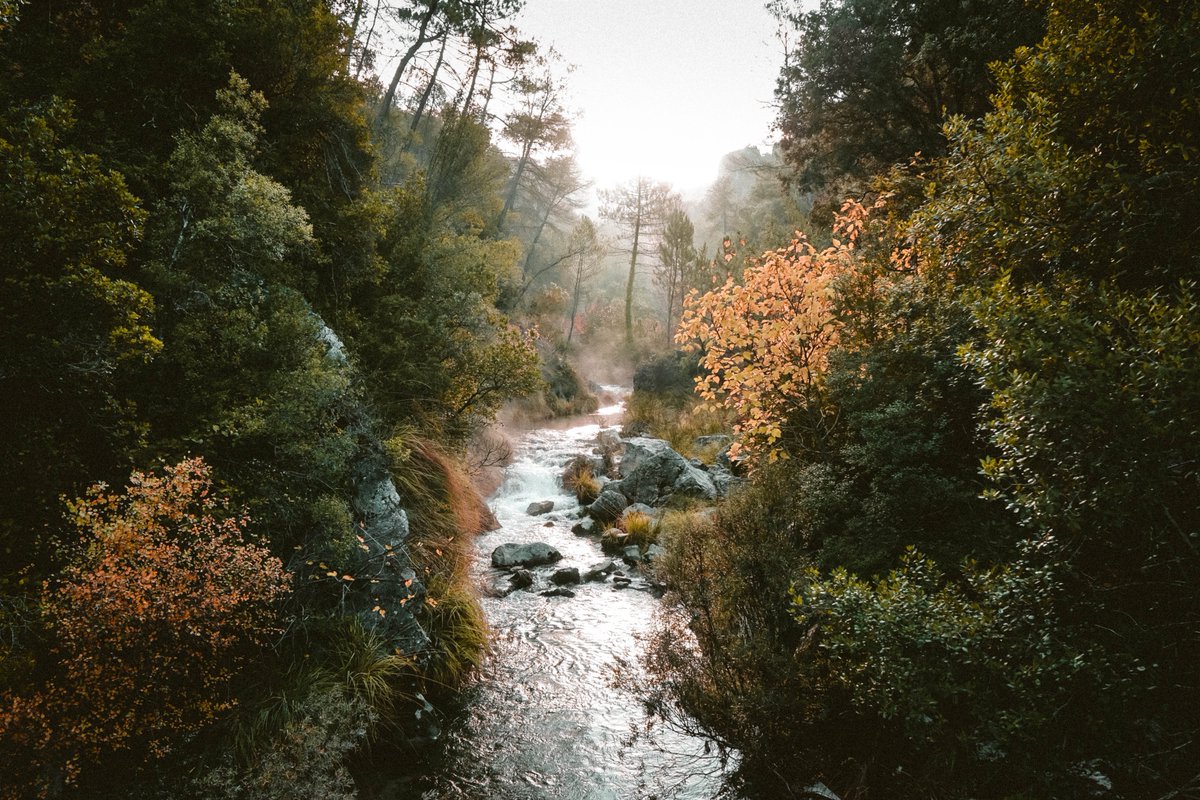 Beatriz tweet media