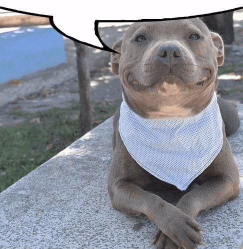 just ordered chicken korma and naan. I spiritually feel like this guy