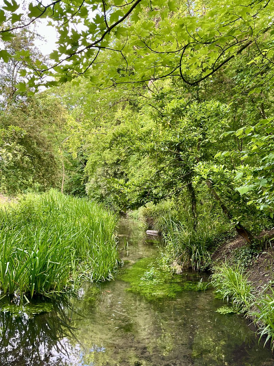 Melanie Ktorides ✨⭐️✨ (@melanie_mjk) on Twitter photo <a href="/Dbridges64David/">David Bridges</a> <a href="/Dbridges64David/">David Bridges</a>