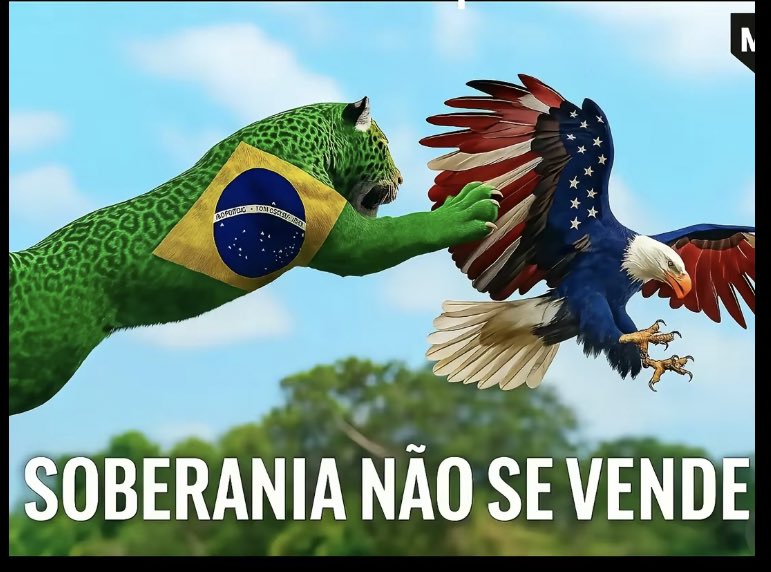 ElianiC4rvalhoo's tweet photo. SOBERANIA NÃO SE VENDE

BOLSONARO TE TAXOU https://t.co/sebxaGiFRo